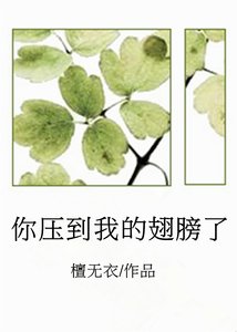 你壓到我的翅膀了